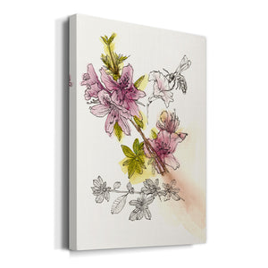 Floral Field Notes I Premium Gallery Wrapped Canvas - Ready to Hang