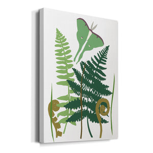 Fern Fantasy Garden I Premium Gallery Wrapped Canvas - Ready to Hang