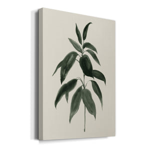 Soft Greenery II - Canvas Art Print