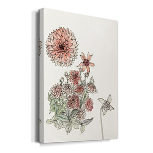 Dahlia Study - Canvas Art Print
