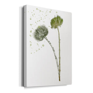 Botany Flower V Premium Gallery Wrapped Canvas - Ready to Hang