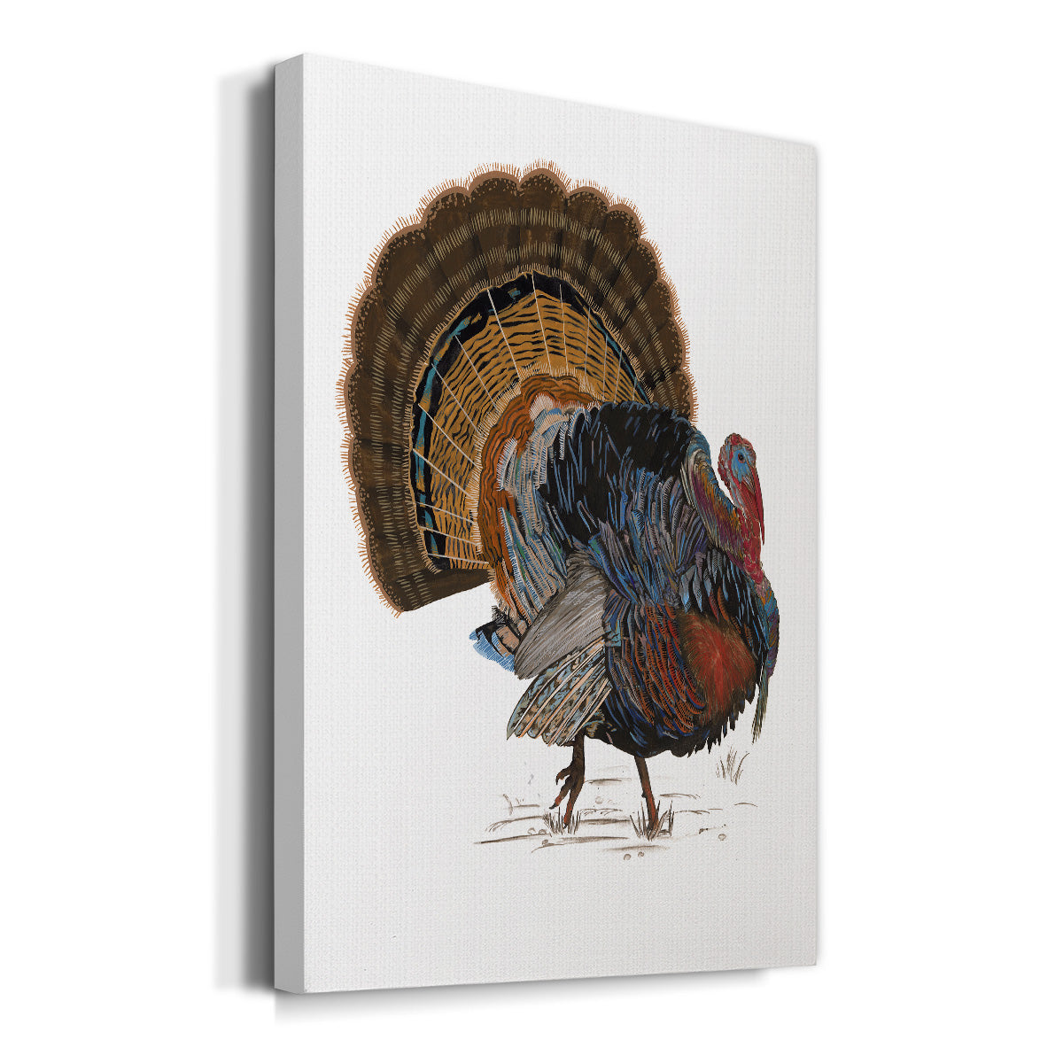 Turkey Study I Premium Gallery Wrapped Canvas - Ready to Hang