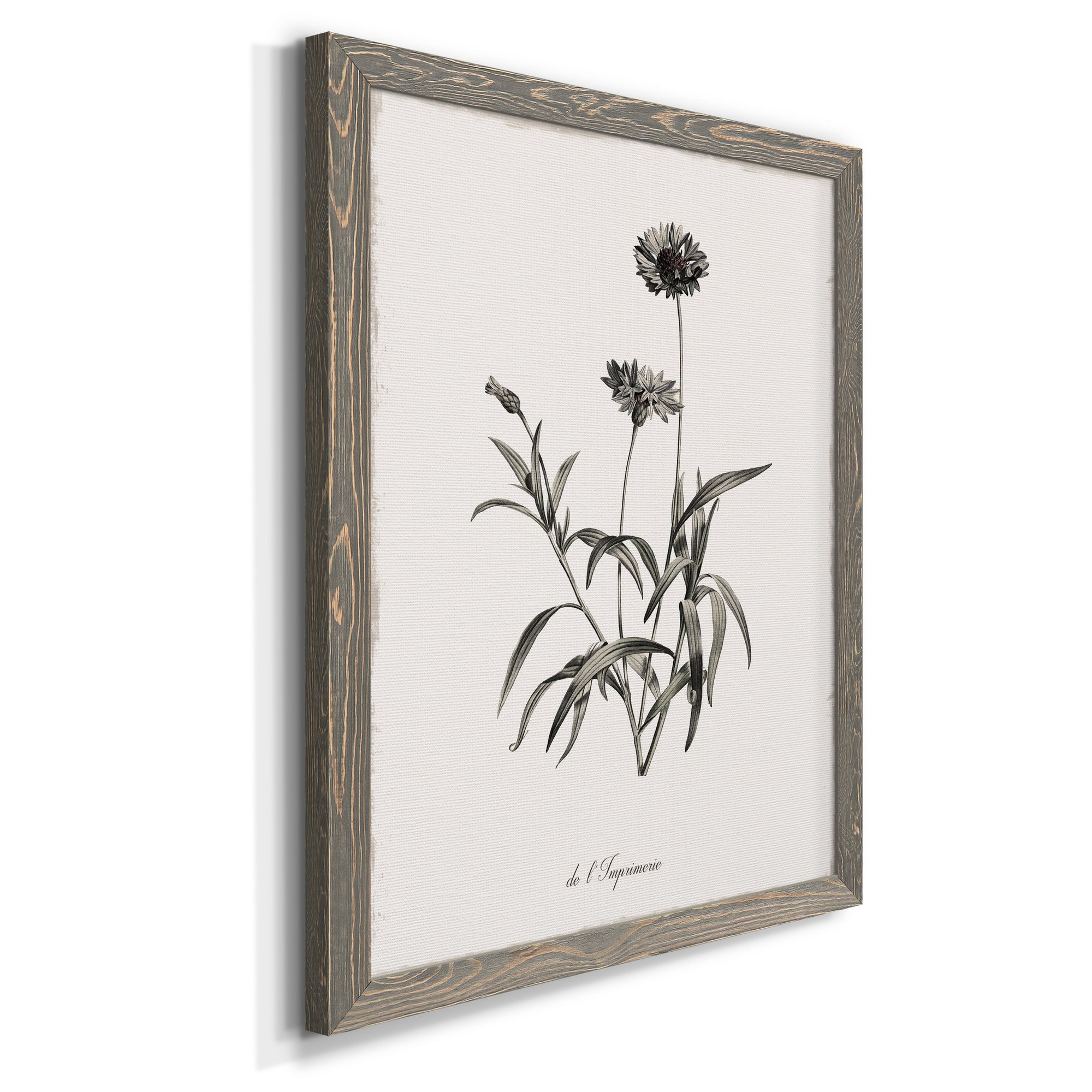 Sketchbook Imperial - Premium Canvas Framed in Barnwood - Ready to Hang