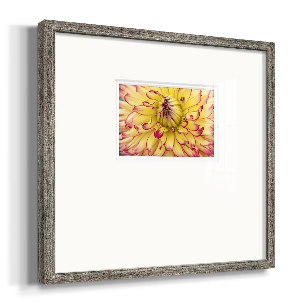 Blooms II- Premium Framed Print Double Matboard