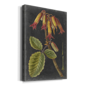 Dramatic Tropicals III Premium Gallery Wrapped Canvas - Ready to Hang