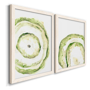 Lichen Halo III - Barnwood Framed Canvas Set