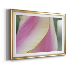 Delicate - Modern Framed Art Print