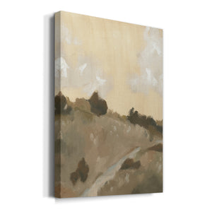 Hillside Walking Path IV - Canvas Art Print