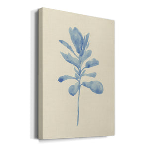 Verditer Fig IV - Canvas Art Print