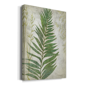 Frond I Premium Gallery Wrapped Canvas - Ready to Hang