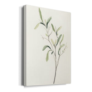 Spindle Sprig III Premium Gallery Wrapped Canvas - Ready to Hang