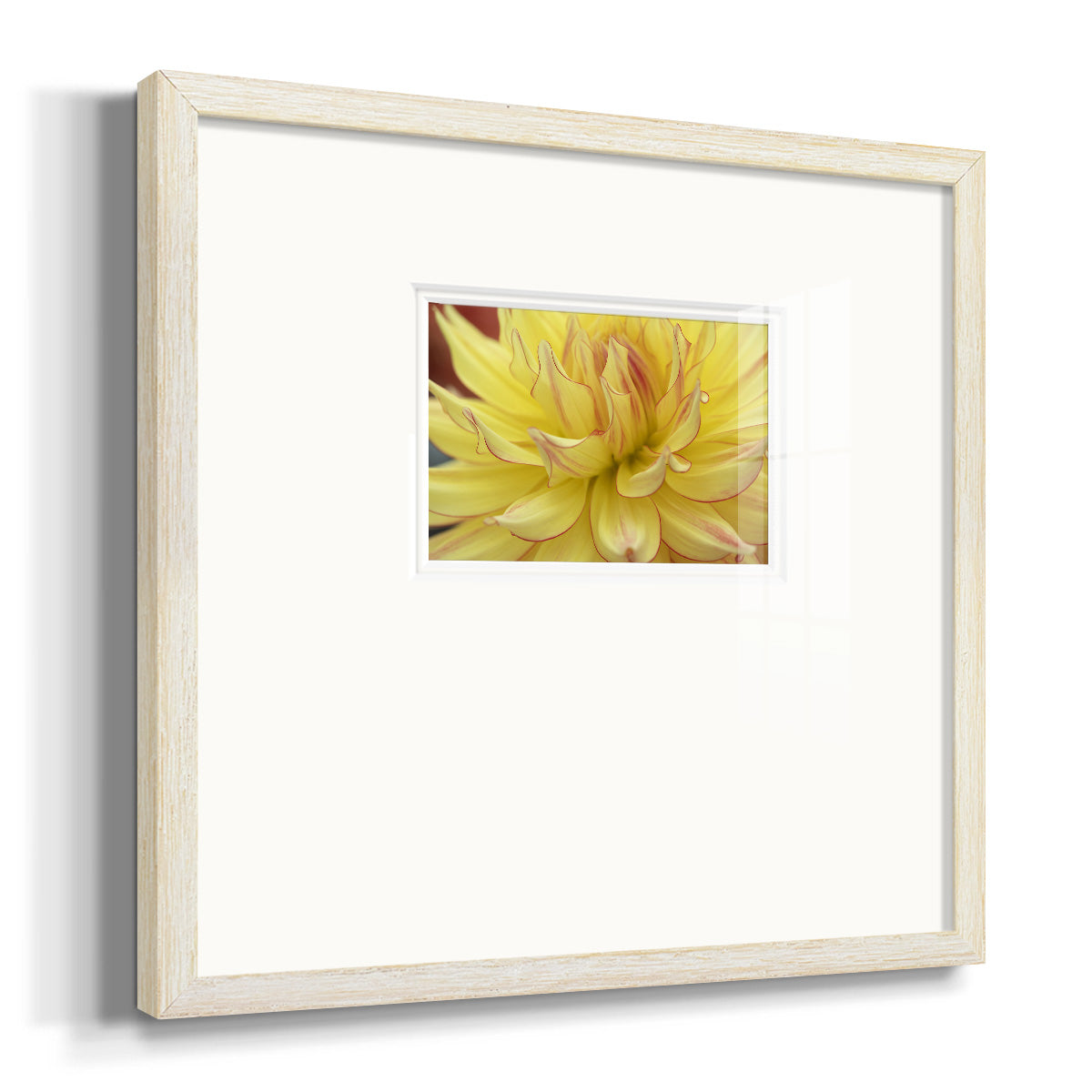 Blooms I- Premium Framed Print Double Matboard