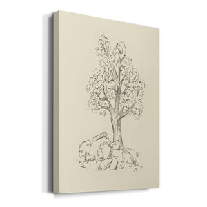 Wooded Path II Premium Gallery Wrapped Canvas - Ready to Hang