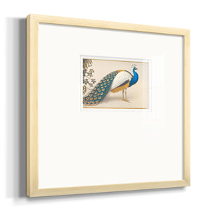 Golden Peacock III Premium Framed Print Double Matboard