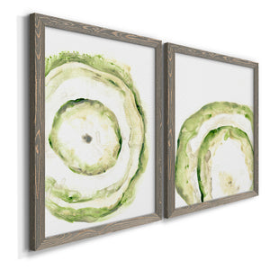 Lichen Halo III - Barnwood Framed Canvas Set