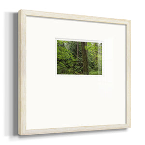 Calm of the Forest- Premium Framed Print Double Matboard