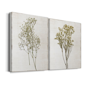 Farmhouse Pressed Flower I Premium Gallery Wrapped Canvas - Ready to Hang