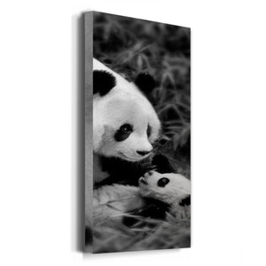 Panda Play - Premium Gallery Wrapped Canvas - Ready to Hang