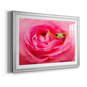 Hanging On VIII - Modern Framed Art Print