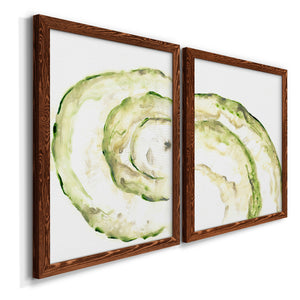 Lichen Halo V - Barnwood Framed Canvas Set