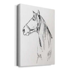 Bridle Portraits I - Canvas Art Print
