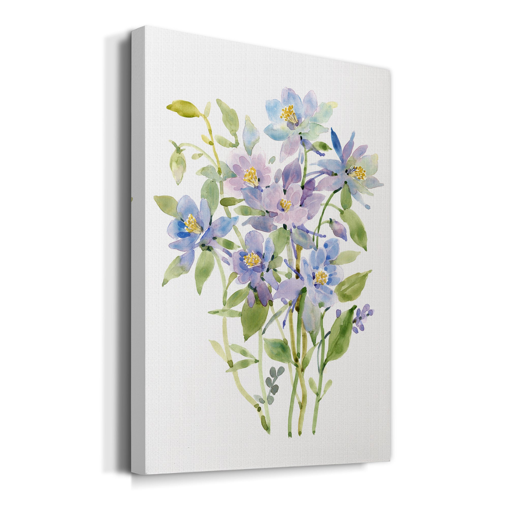 Columbine Spray II Premium Gallery Wrapped Canvas - Ready to Hang