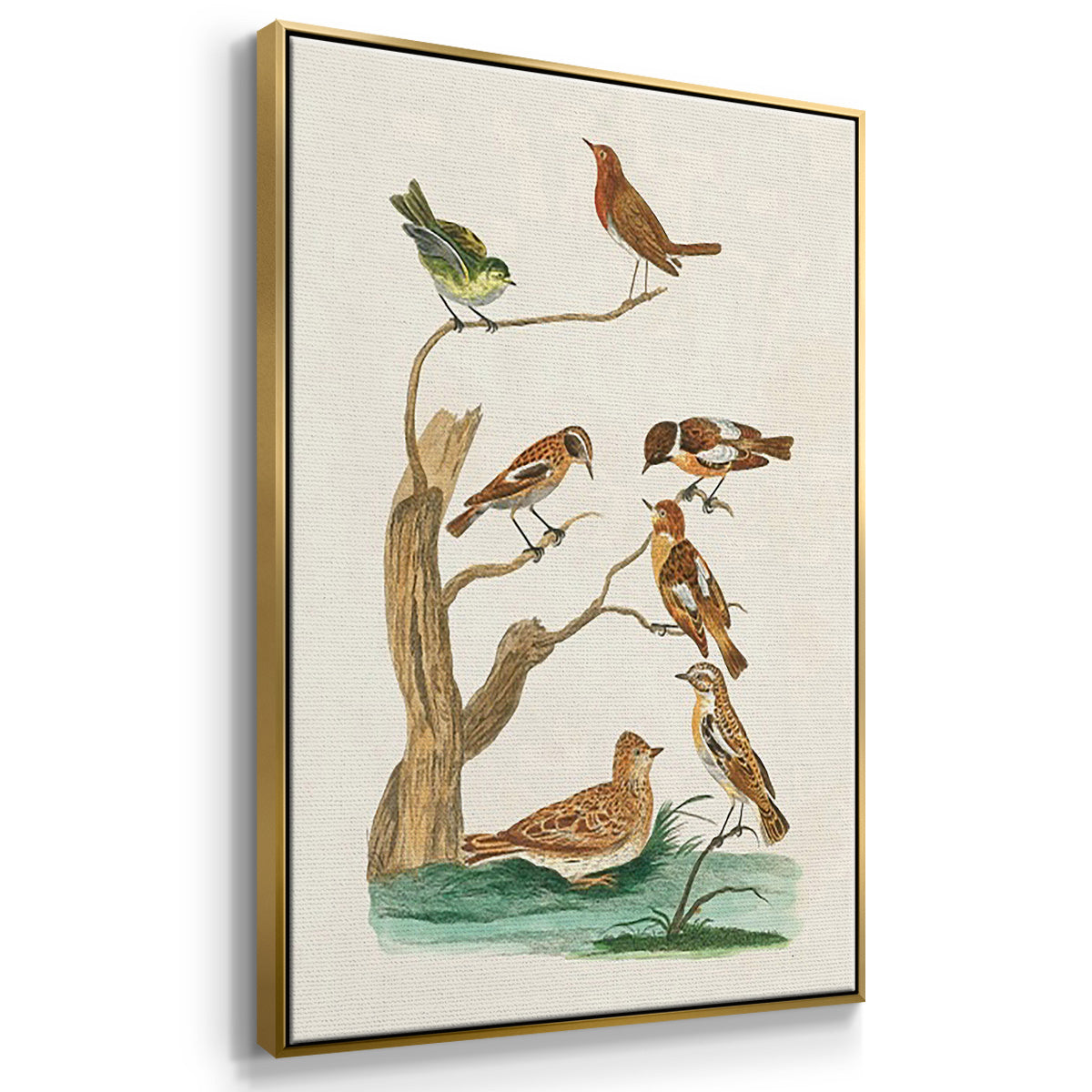 Antique Birds in Nature I - Framed Premium Gallery Wrapped Canvas L Frame 3 Piece Set - Ready to Hang
