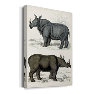 Journal of Natural History IX - Canvas Art Print