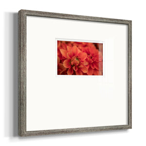 Spring Fire Premium Framed Print Double Matboard