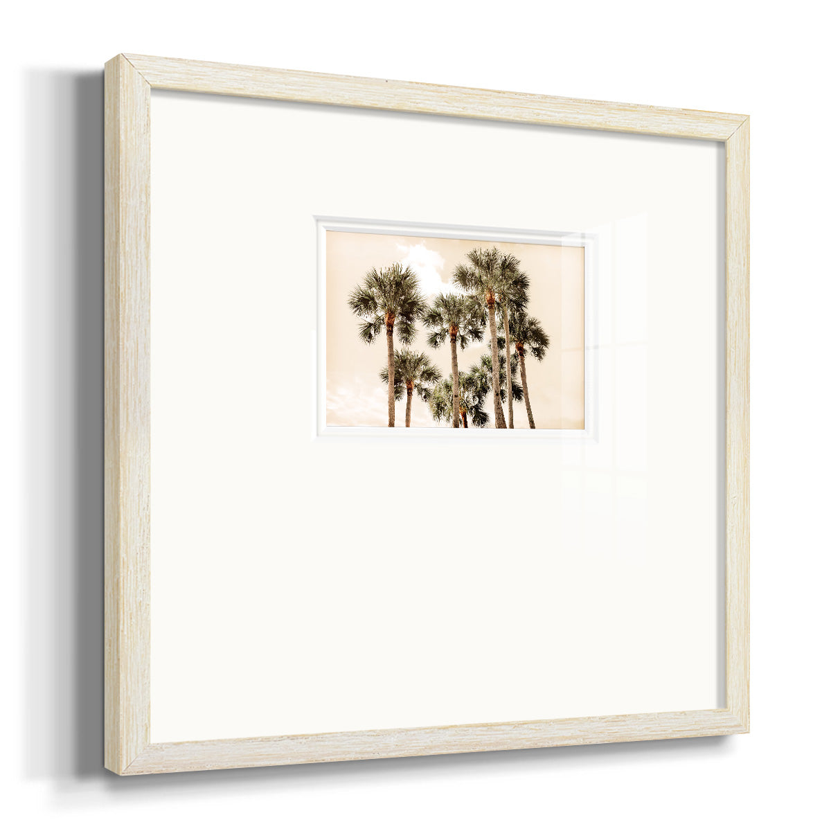 Blushing Palms Premium Framed Print Double Matboard