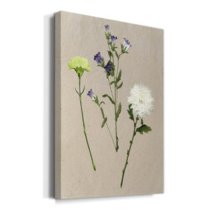 Pretty Pressed Flowers I Premium Gallery Wrapped Canvas - Ready to Hang