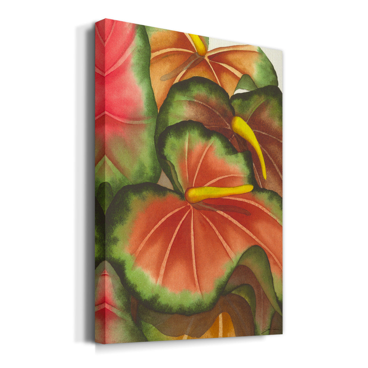 Anthuria II Premium Gallery Wrapped Canvas - Ready to Hang