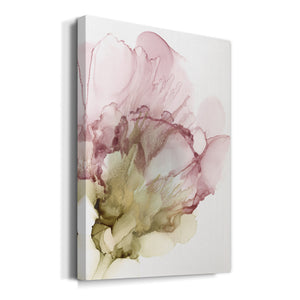 Flowering Pink II - Canvas Art Print
