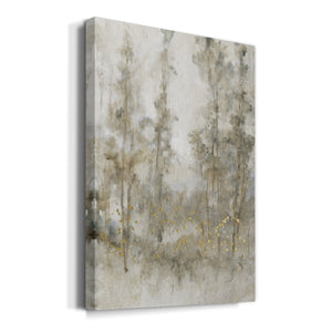 Thicket of Trees I Premium Gallery Wrapped Canvas - Ready to Hang