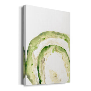 Lichen Halo IV - Canvas Art Print