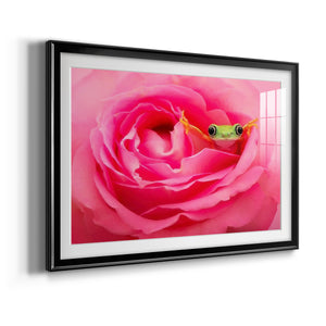 Hanging On VIII - Modern Framed Art Print