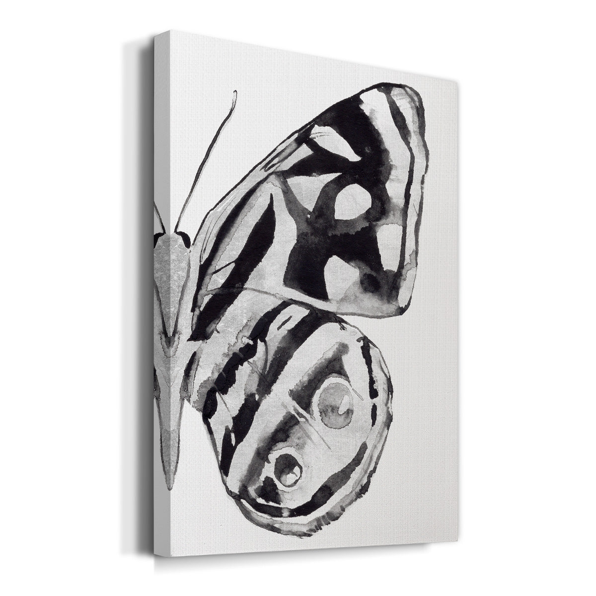 Monochrome Wings IV Premium Gallery Wrapped Canvas - Ready to Hang