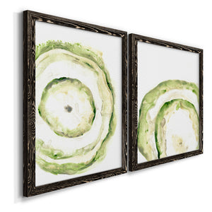 Lichen Halo III - Barnwood Framed Canvas Set