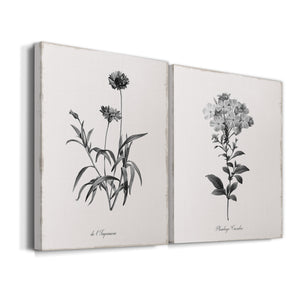 Simply Imperial Premium Gallery Wrapped Canvas - Ready to Hang - Set of 2 - 8 x 12 Each