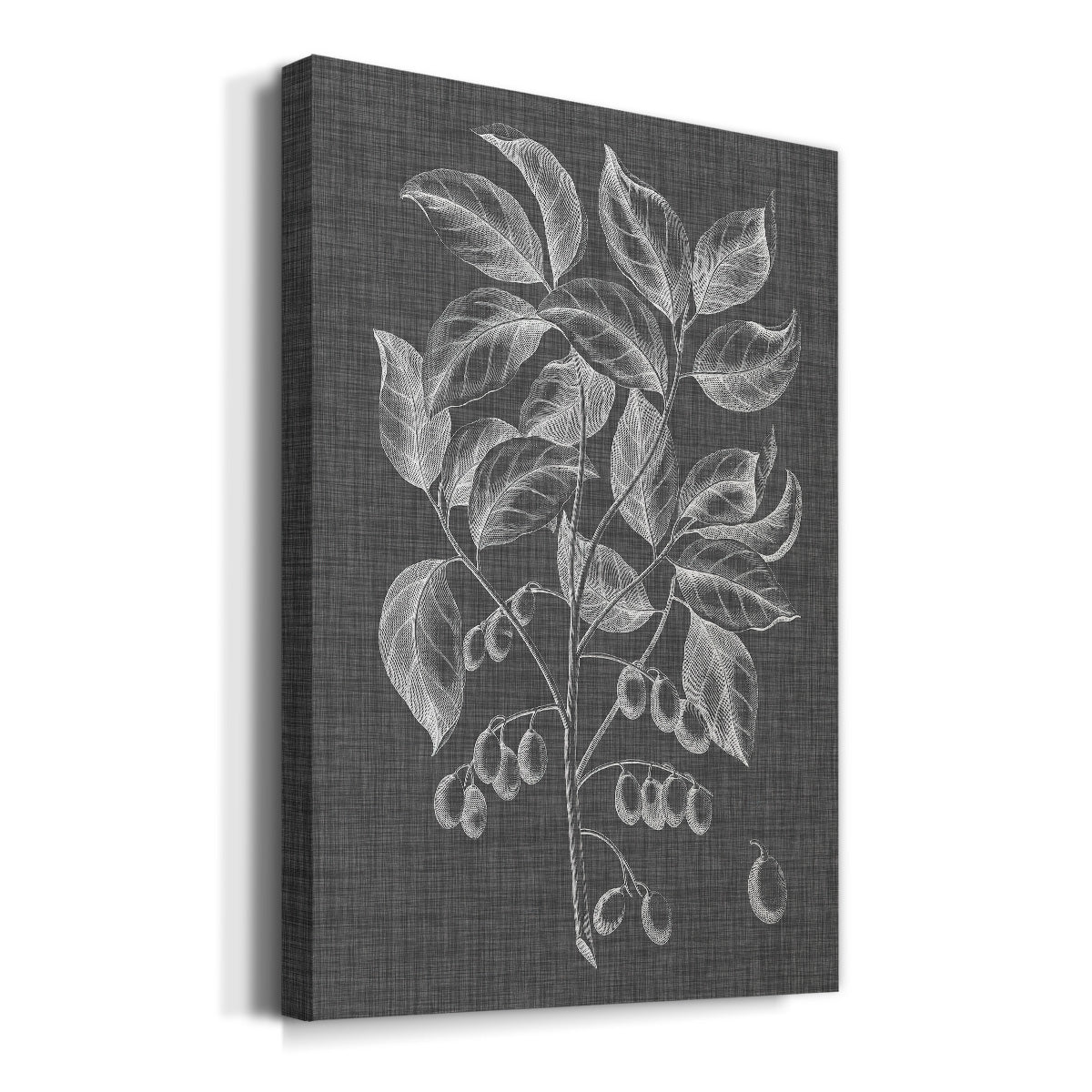 Graphic Foliage V Premium Gallery Wrapped Canvas - Ready to Hang