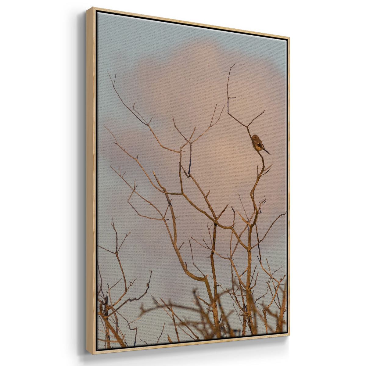 At Dawn - Framed Premium Gallery Wrapped Canvas L Frame - Ready to Hang