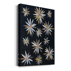 Starburst Too I - Canvas Art Print