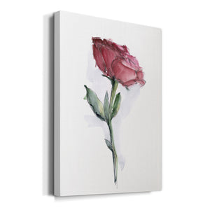 Watercolor Floral Contour II Premium Gallery Wrapped Canvas - Ready to Hang