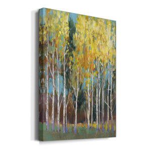 Aspen Grove II Premium Gallery Wrapped Canvas - Ready to Hang