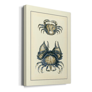 Antique Blue Crabs I Premium Gallery Wrapped Canvas - Ready to Hang