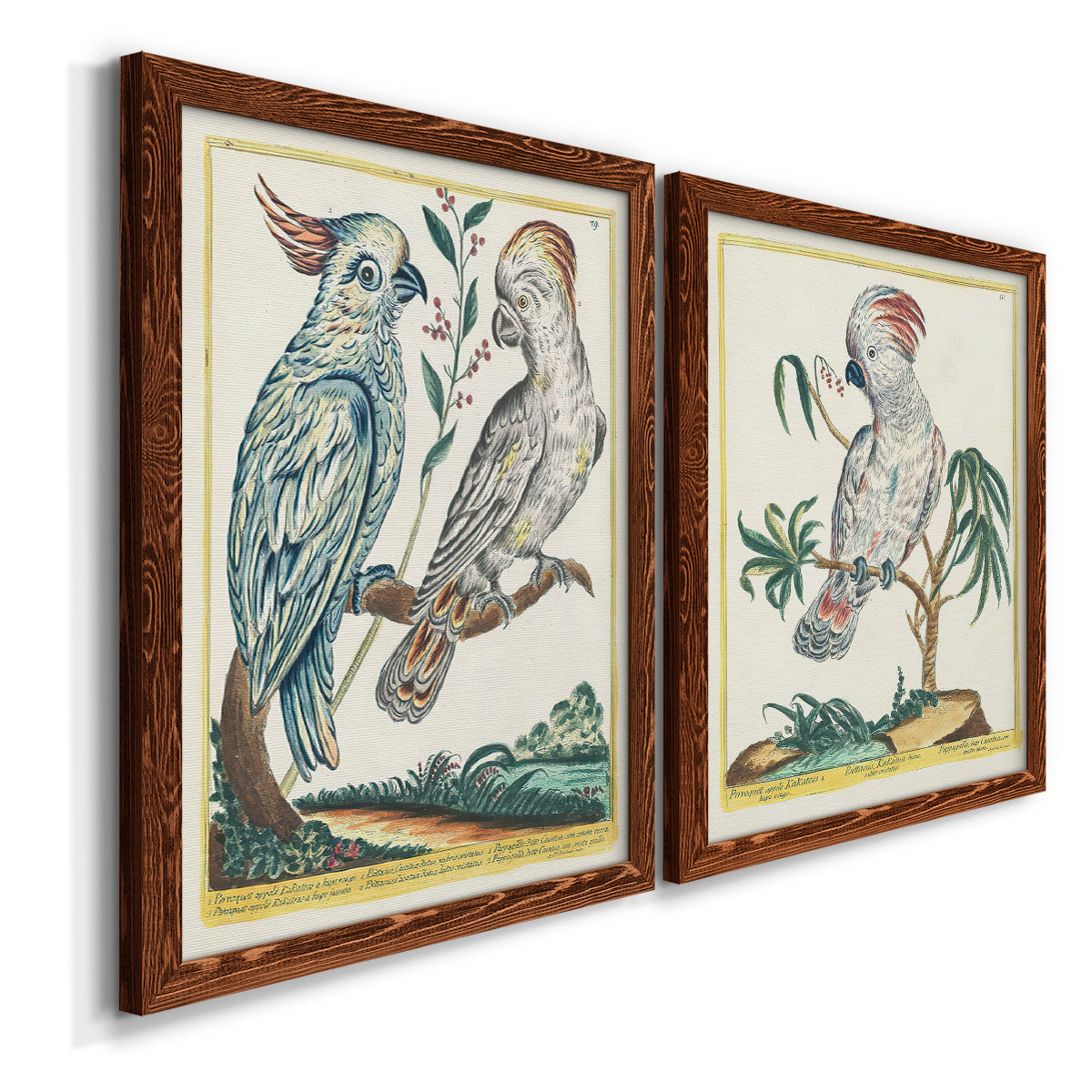 Pastel Birds I - Premium Framed Canvas 2 Piece Set - Ready to Hang