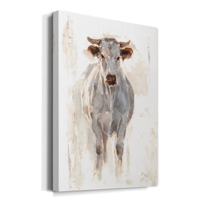 Sunlit Cows I - Canvas Art Print
