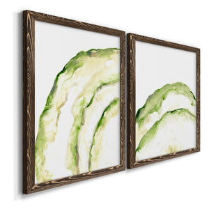 Lichen Halo I - Barnwood Framed Canvas Set