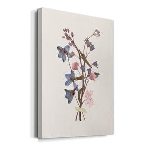 Pastel Keepsake I - Canvas Art Print