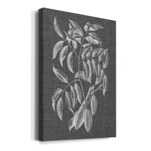 Graphic Foliage III Premium Gallery Wrapped Canvas - Ready to Hang